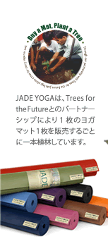 JADEYOGAは、Trees for the Futureとのパートナーシップにより１枚のヨガマット１枚を販売するごとに一本植林しています。